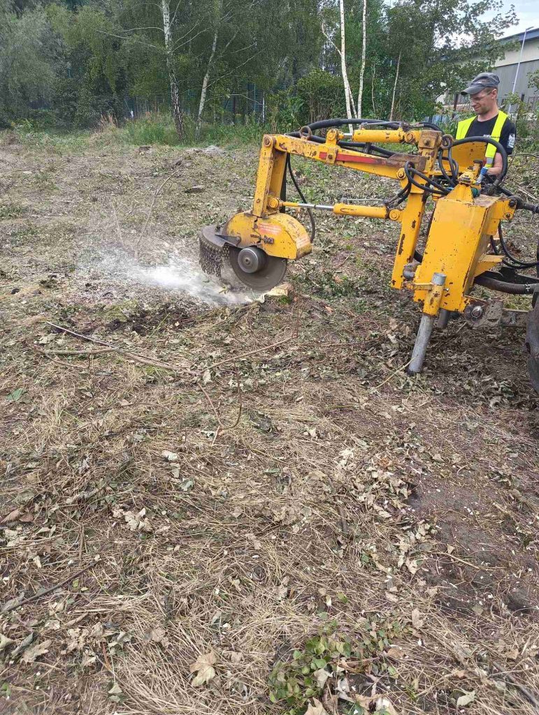 frezowanie pni i karpin pomorskie