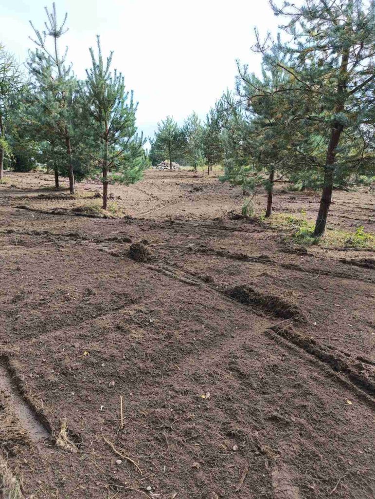 rekultywacja terenu lesnego pomorskie