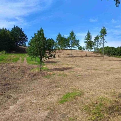wykaszanie i porzadkowanie skarpy pomorskie