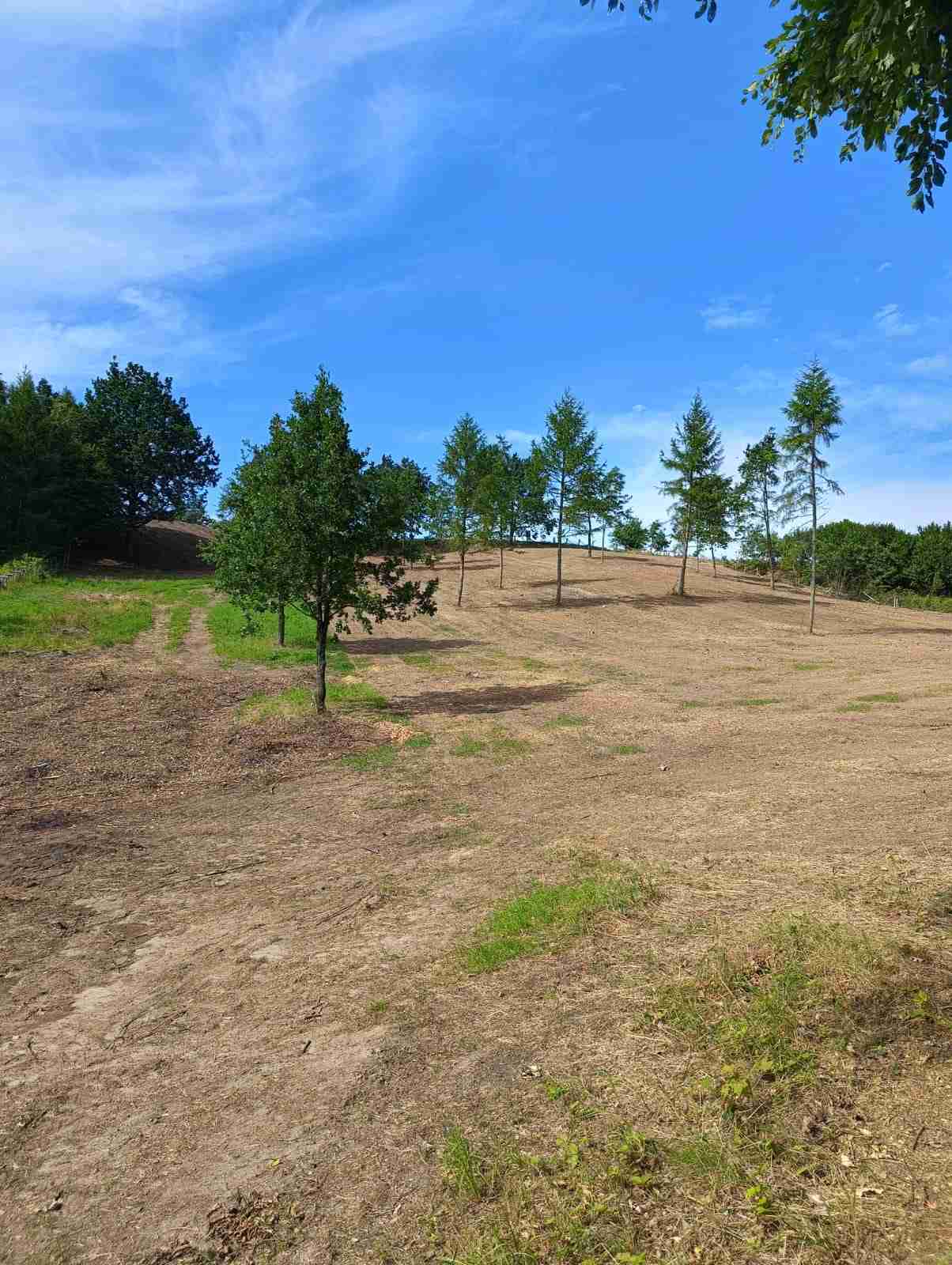 wykaszanie i porzadkowanie skarpy pomorskie